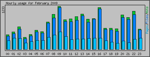 Hourly usage