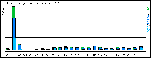 Hourly usage