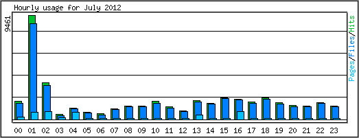 Hourly usage