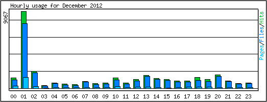 Hourly usage