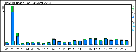 Hourly usage