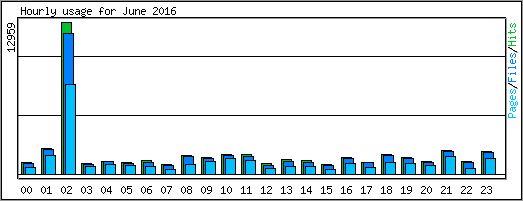 Hourly usage