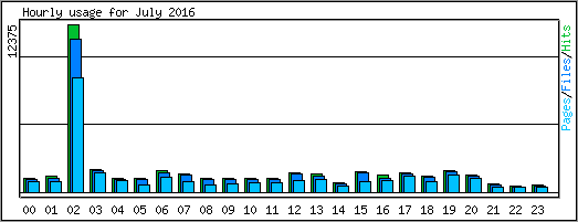 Hourly usage