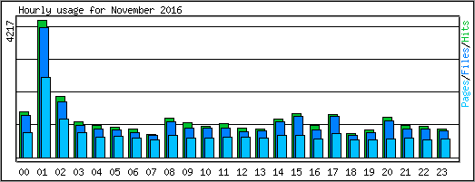 Hourly usage