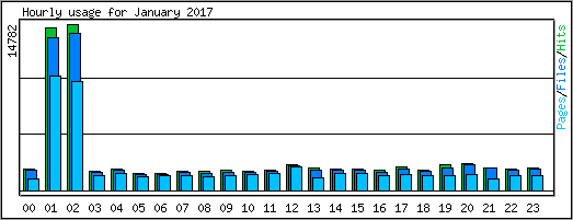 Hourly usage