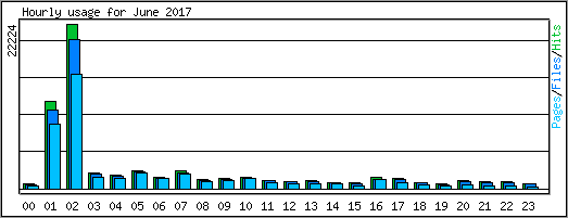 Hourly usage