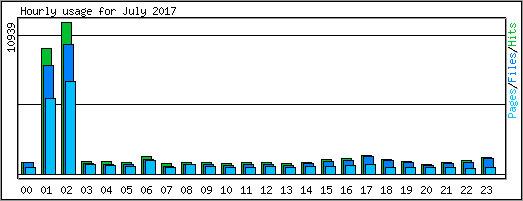 Hourly usage