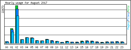 Hourly usage