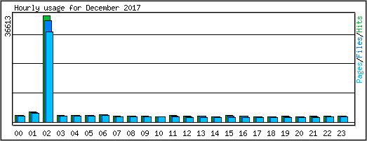 Hourly usage