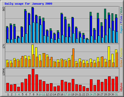 Daily usage for January 2009