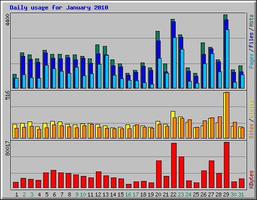 Daily usage for January 2010