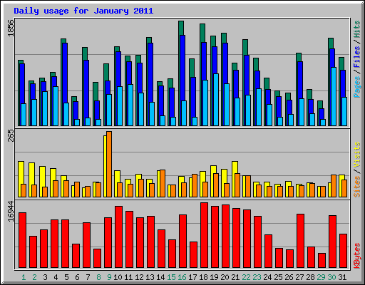 Daily usage for January 2011