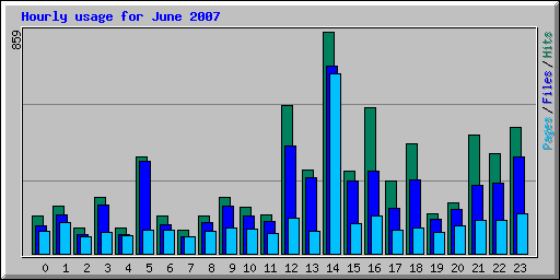 Hourly usage for June 2007