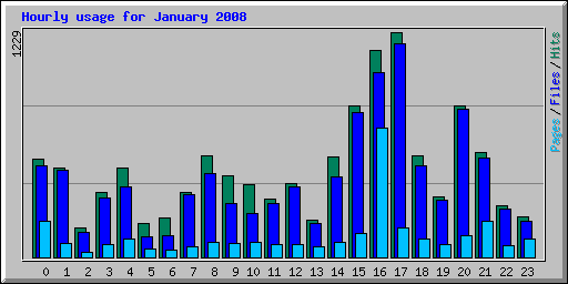 Hourly usage for January 2008