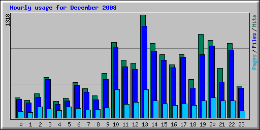 Hourly usage for December 2008