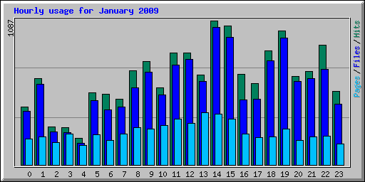 Hourly usage for January 2009