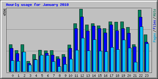 Hourly usage for January 2010