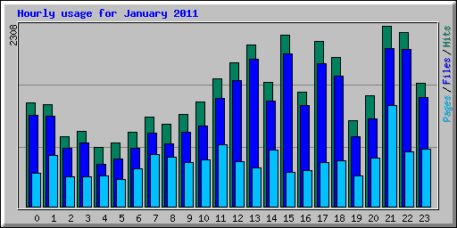 Hourly usage for January 2011