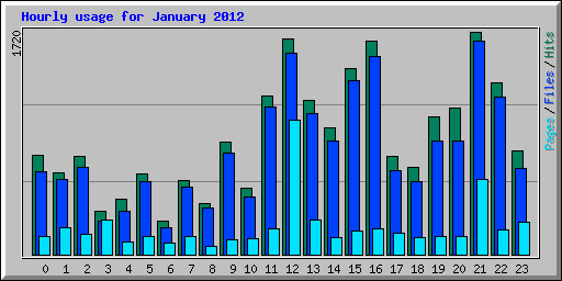 Hourly usage for January 2012